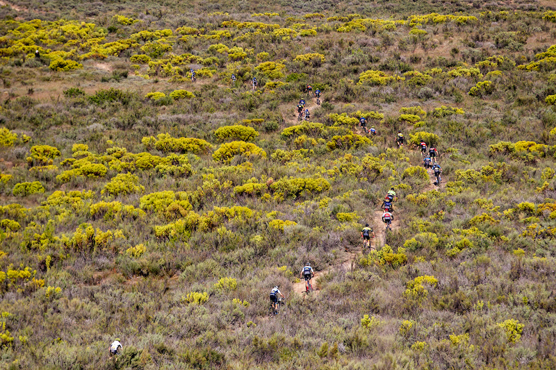 Mountainbiker auf der Strecke des Cape Epic. Foto: Nick Muzik